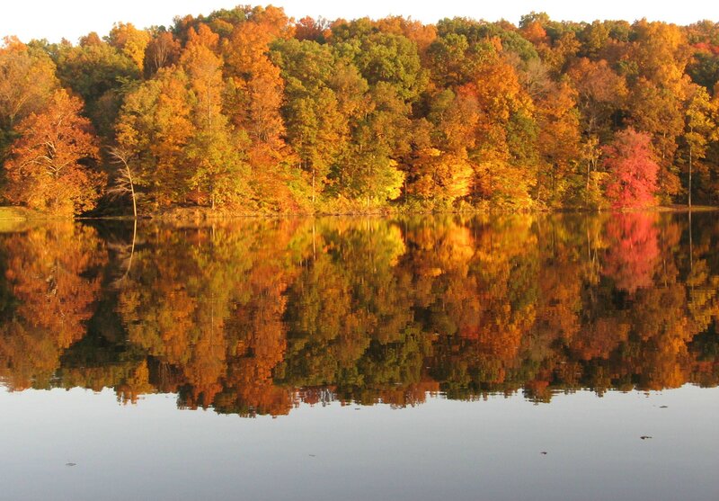 Autumn Trees Reflected — Orange, Serene, Photograph, Lake