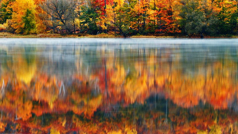 Autumn Trees Reflected — Orange, Serene, Photograph