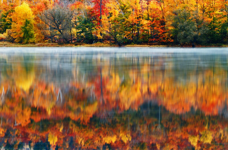 Autumn Trees Reflected