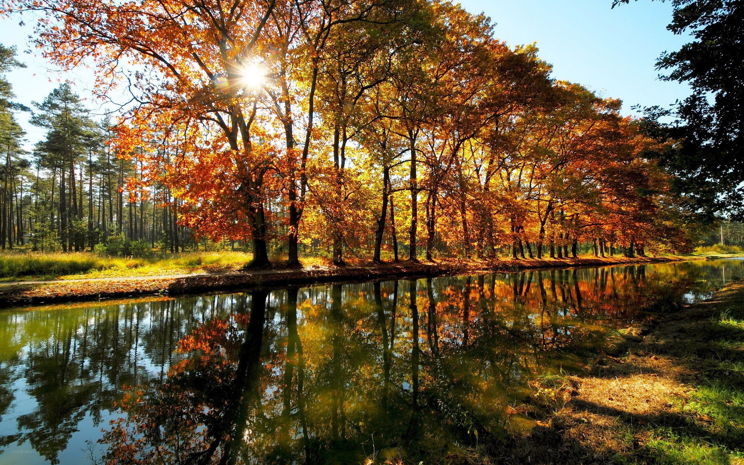 Autumn trees reflecting in a canal
