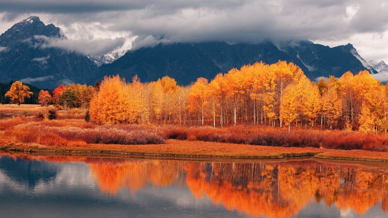 Autumn trees reflecting in a lake