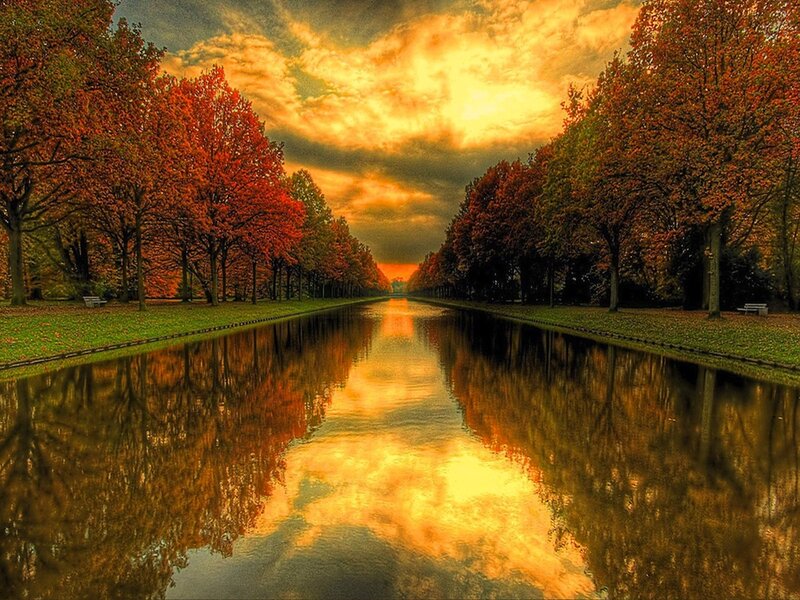 Autumn Trees Reflecting in Canal — Orange, Dramatic