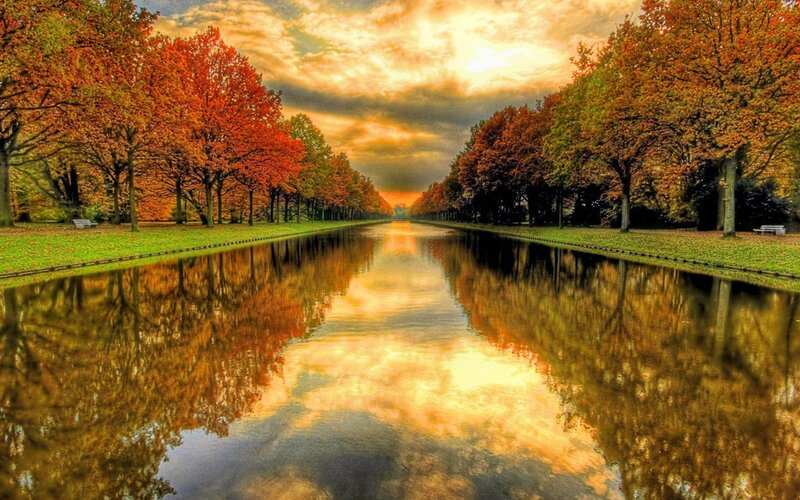Autumn Trees Reflecting in Canal