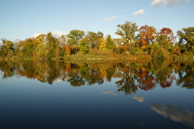 Autumn Trees Reflecting in Lake — Blue, Serene, Photograph, Sky, Clouds, Green