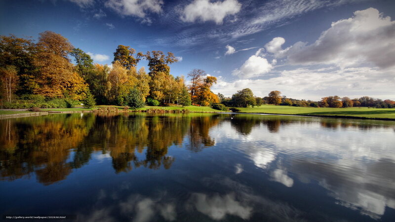 Autumn Trees Reflecting in Lake — Blue, Serene, Photograph, Sky, Grass