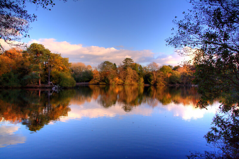 Autumn Trees Reflecting in Lake — Blue, Serene, Photograph, Sky