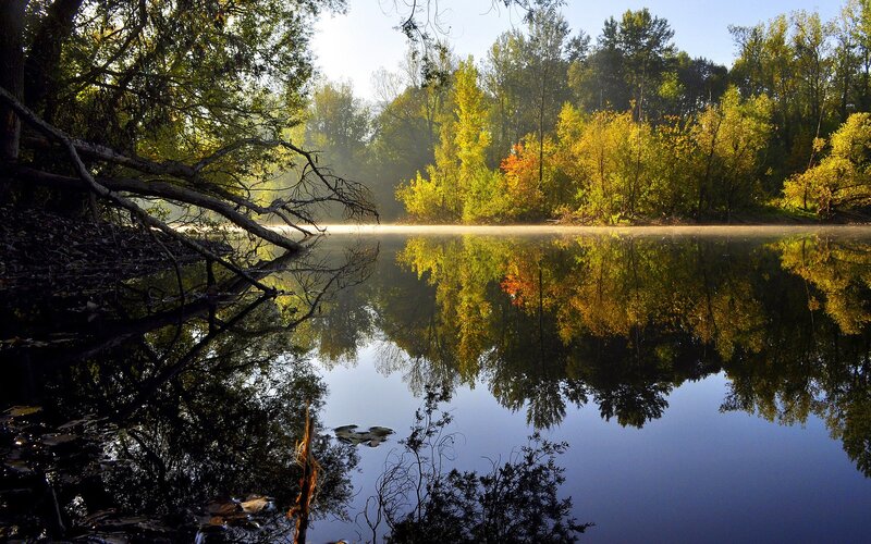 Autumn Trees Reflecting in Lake — Green, Serene, Morning, Photograph