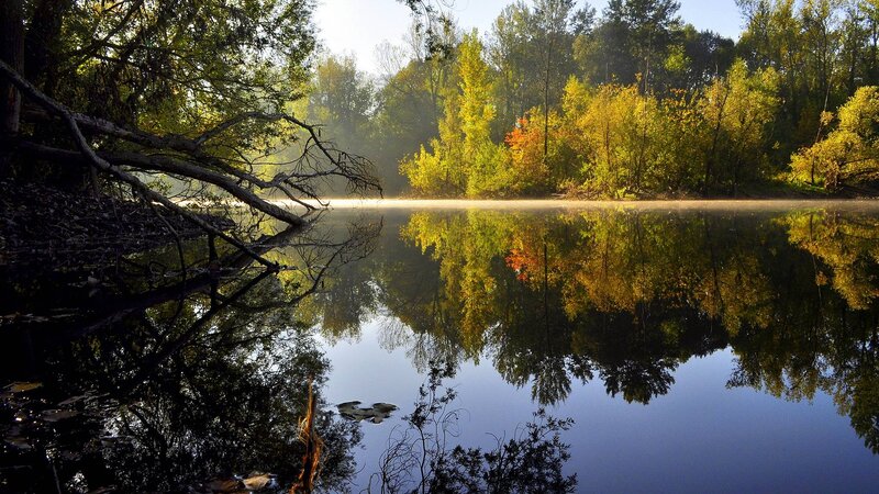 Autumn Trees Reflecting in Lake — Green, Serene, Morning