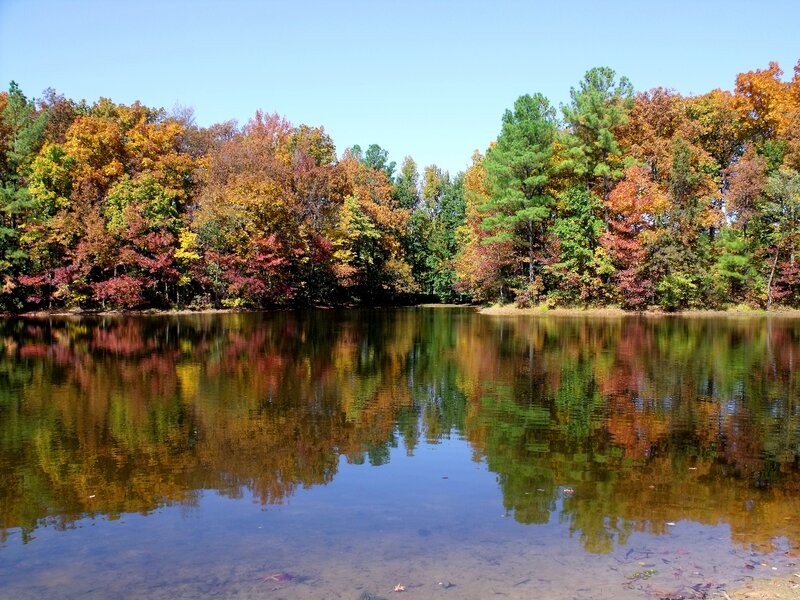 Autumn Trees Reflecting in Lake — Green, Serene, Photograph, Sky