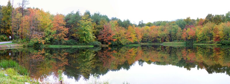 Autumn Trees Reflecting in Lake — Green, Serene, Photograph
