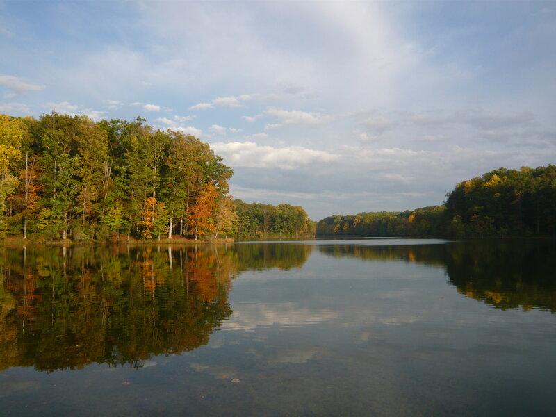 Autumn Trees Reflecting in Lake — Green