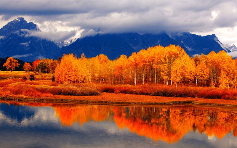 Autumn Trees Reflecting in Lake — Orange, Dramatic