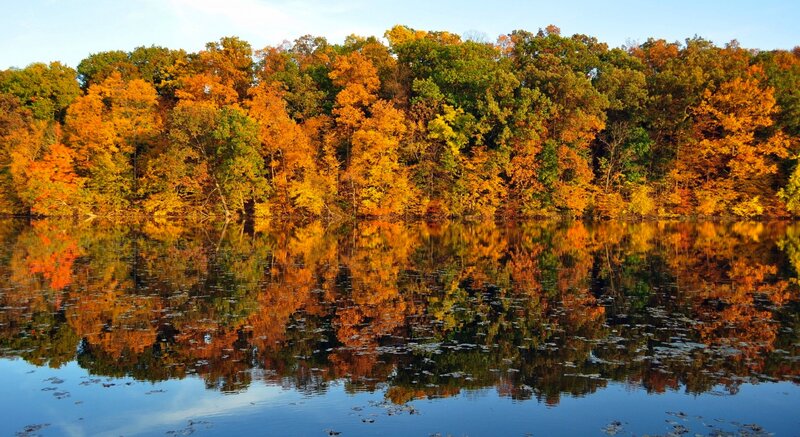Autumn Trees Reflecting in Lake — Orange, Serene, Photograph, Sky