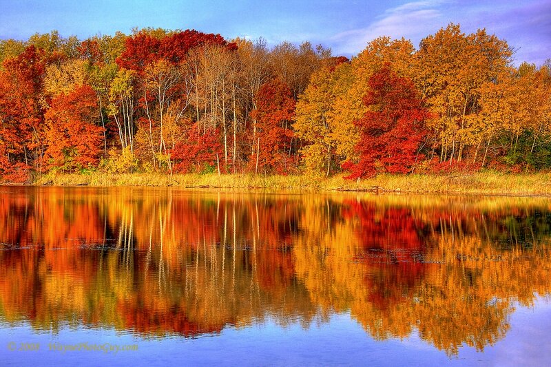 Autumn Trees Reflecting in Lake — Orange, Serene