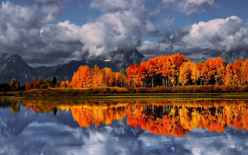 Autumn Trees Reflecting in Lake — Orange