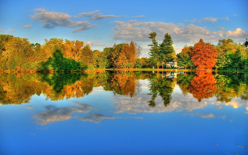 Autumn Trees Reflecting in Lake — Photograph