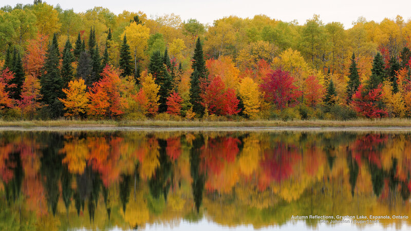 Autumn Trees Reflecting in Lake — Red, Serene