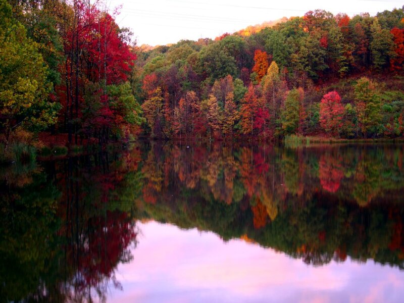 Autumn Trees Reflecting in Lake — Red