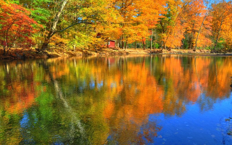 Autumn Trees Reflecting in Lake