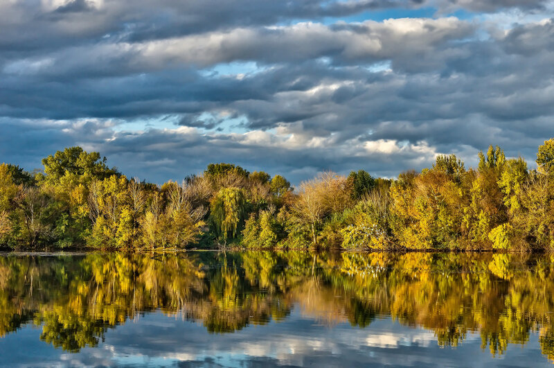 Autumn Trees Reflecting in Lake — Yellow, Dramatic