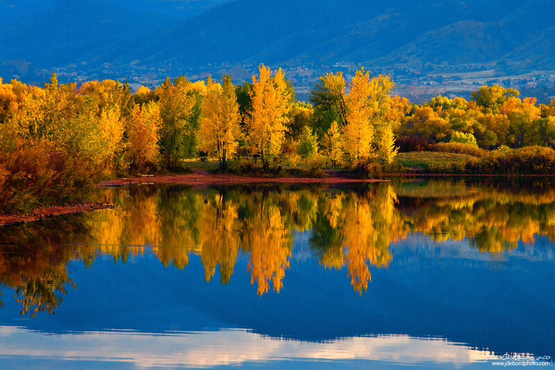 Autumn Trees Reflecting in Lake — Yellow