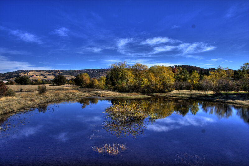 Autumn Trees Reflecting in Pond — Blue