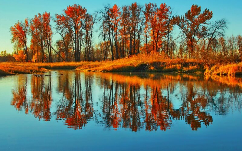 Autumn Trees Reflecting in River — Blue