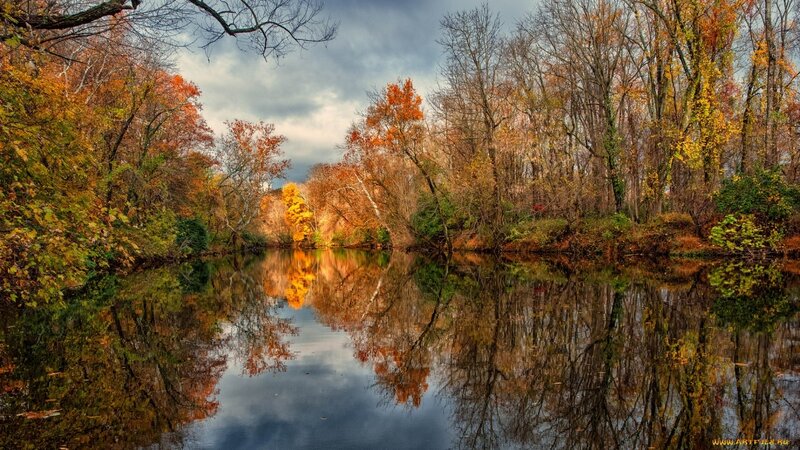 Autumn Trees Reflecting in River — Orange