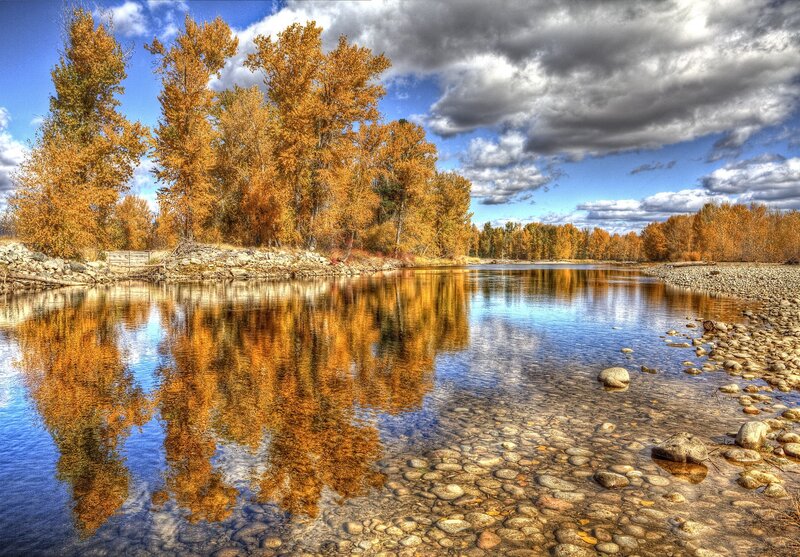 Autumn Trees Reflecting in River