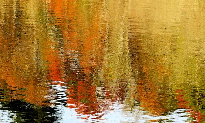 Autumn Trees Reflection — Orange