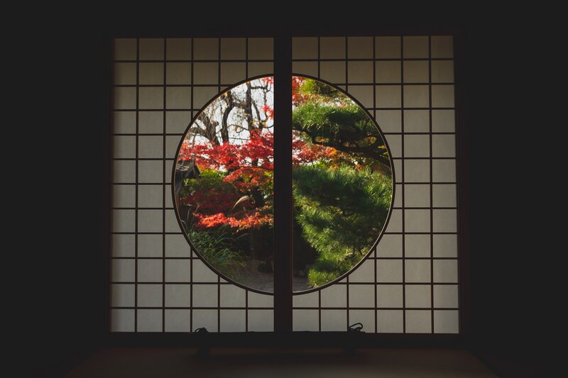 Autumn Trees Through Window — Red