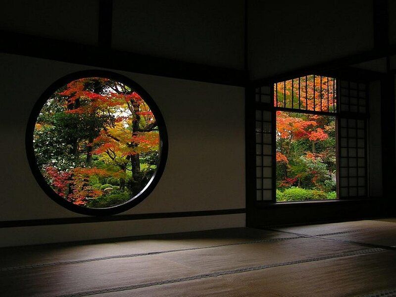 Autumn Trees Through Windows