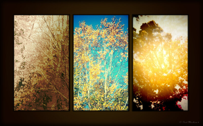 Autumn Trees Triptych