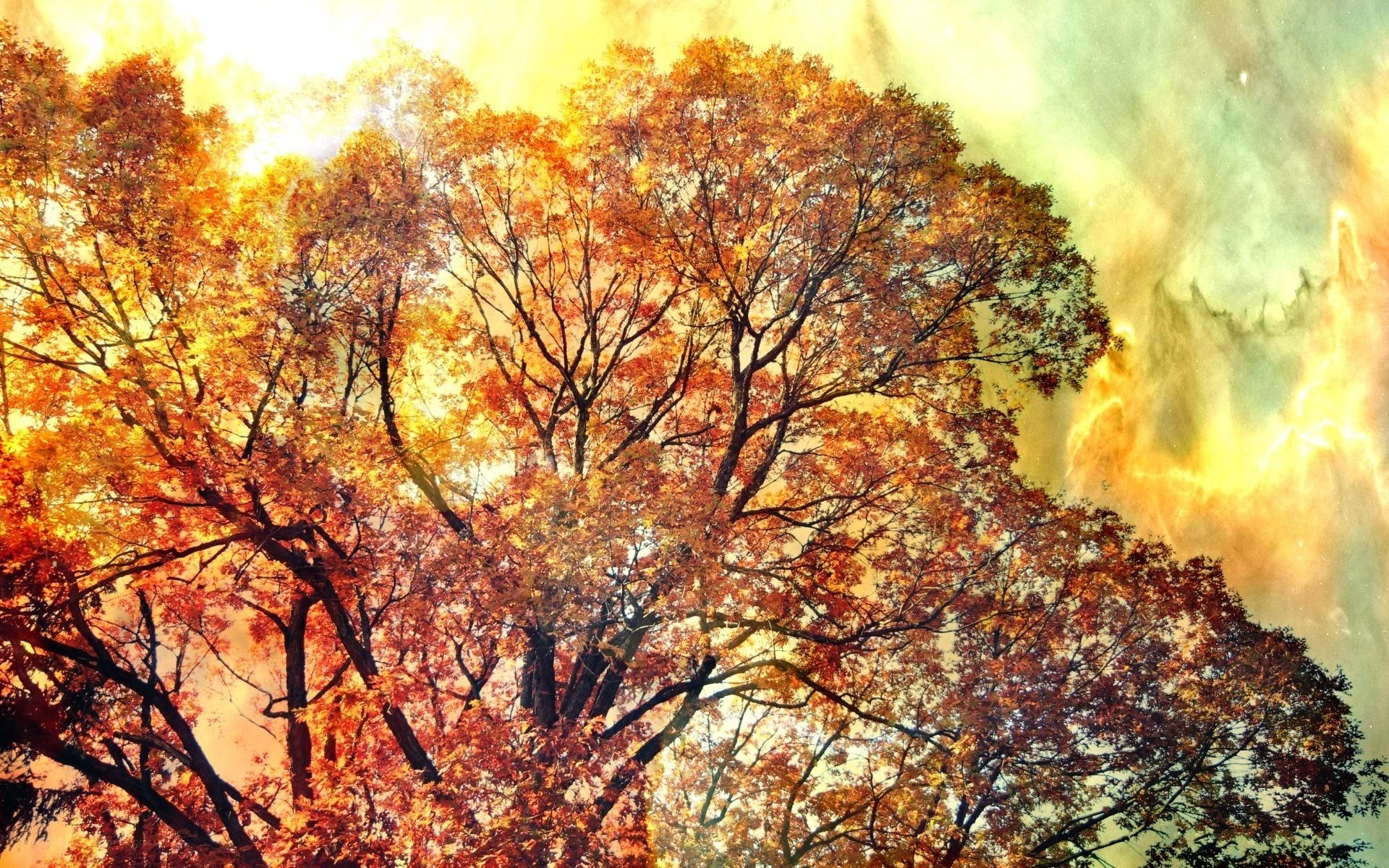 Autumn trees under a vibrant sky