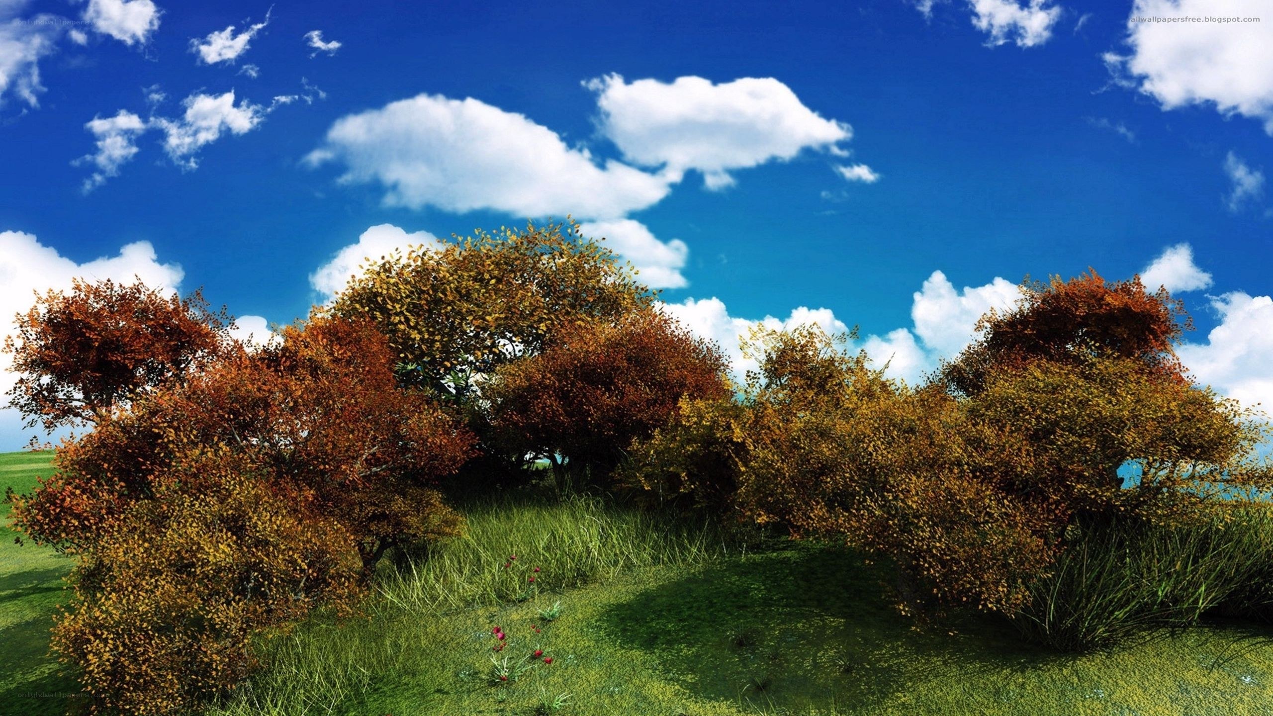 Autumn trees under blue sky