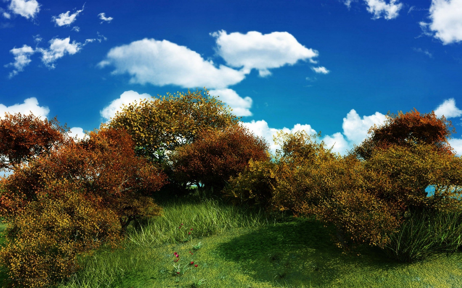 Autumn trees under blue sky