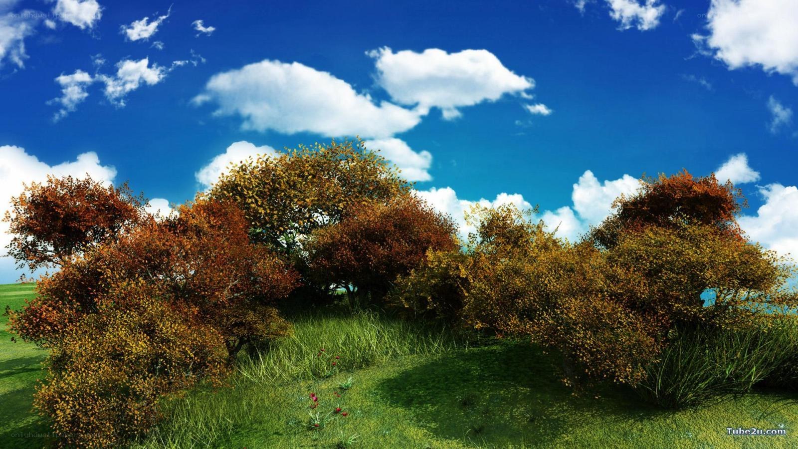 Autumn trees under blue sky