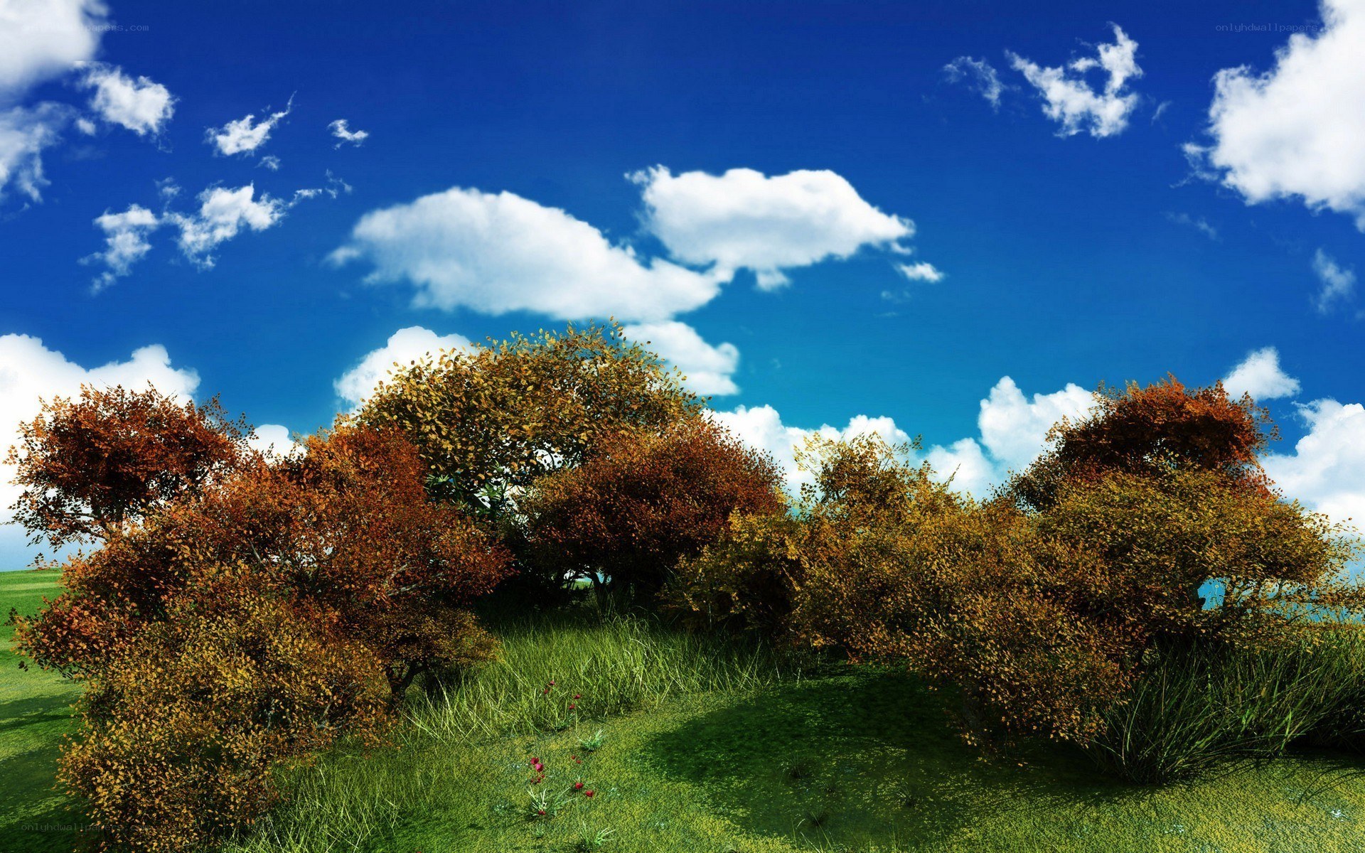 Autumn trees under blue sky