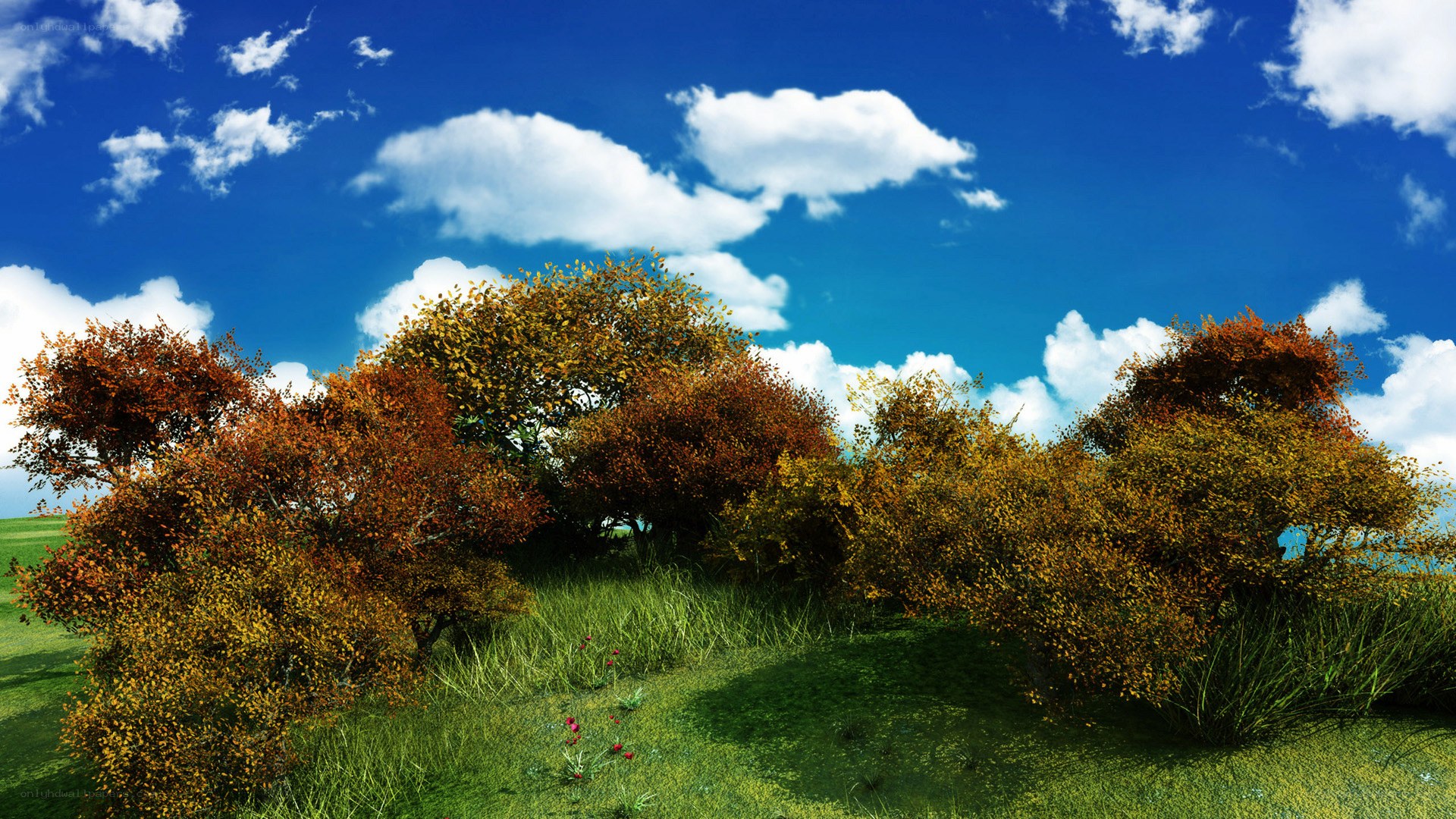 Autumn trees under blue sky