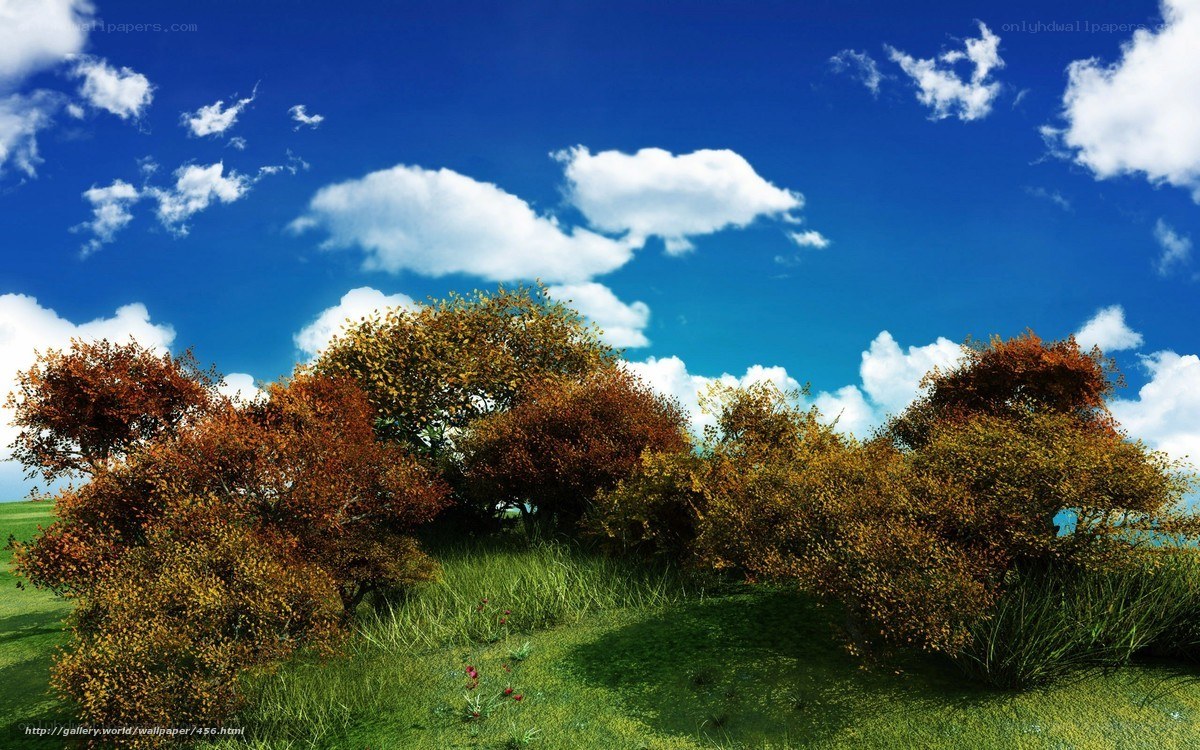 Autumn trees under blue sky