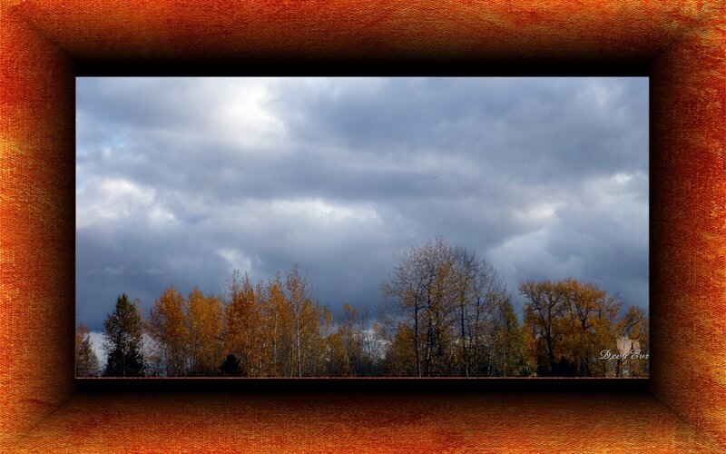 Autumn Trees under Cloudy Sky — Orange