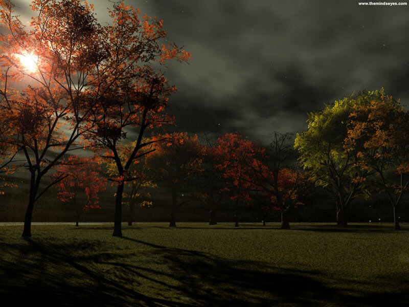 Autumn trees under moonlight