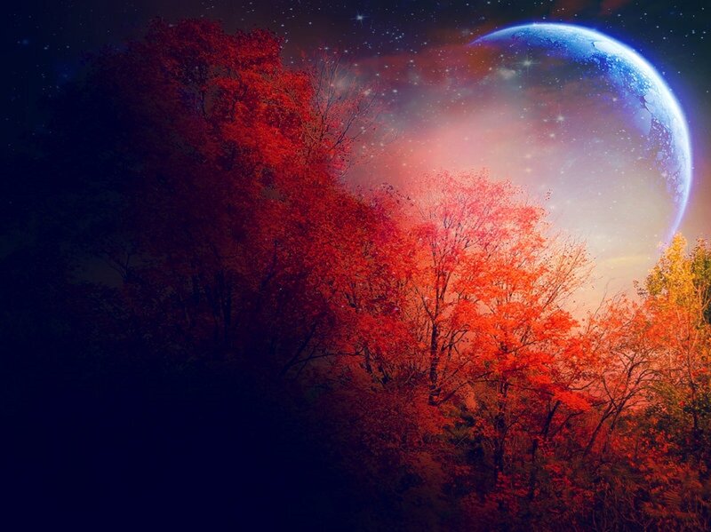 Autumn Trees under Planet