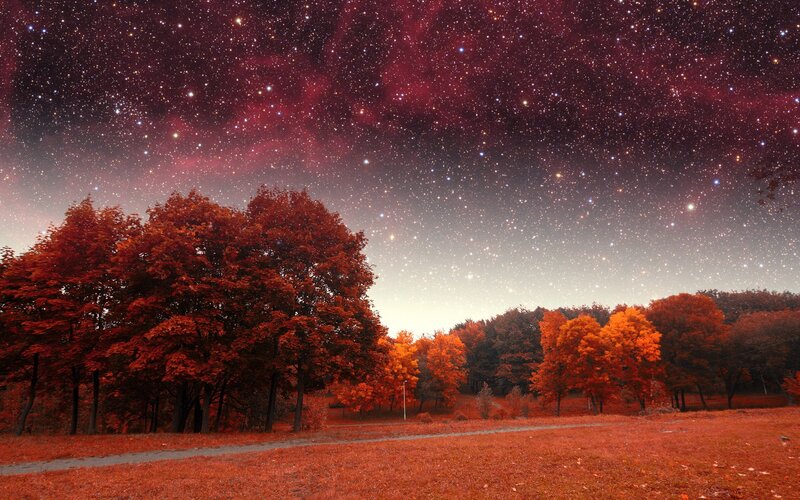 Autumn Trees under Stars — Red