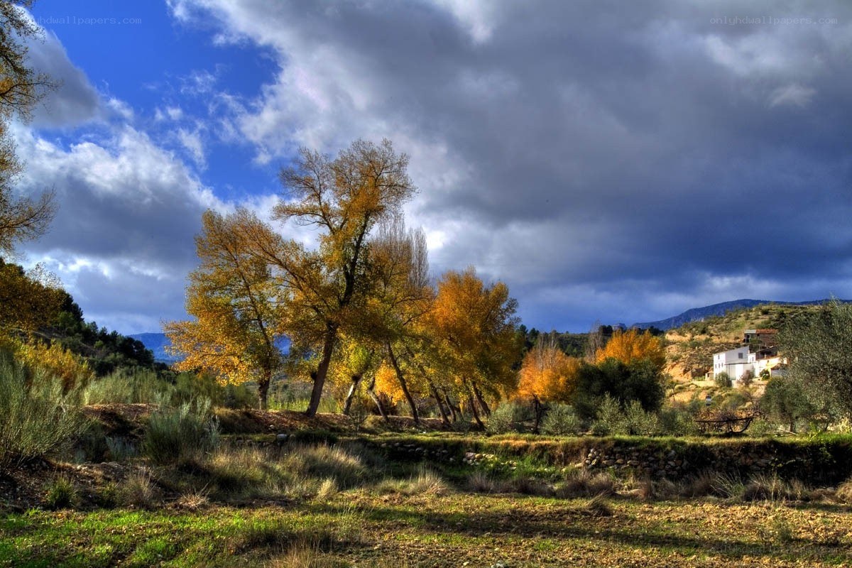 Autumn trees under stormy sky