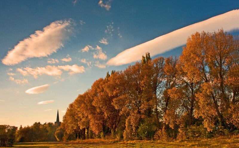 Autumn trees with church spire