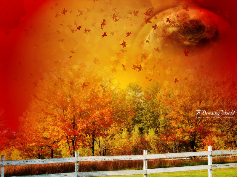 Autumn Trees with Fence — Red