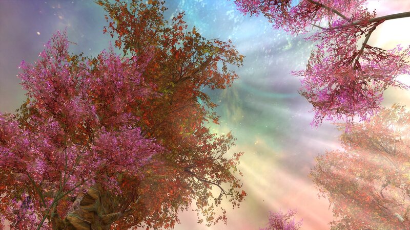 Autumn trees with glowing sky