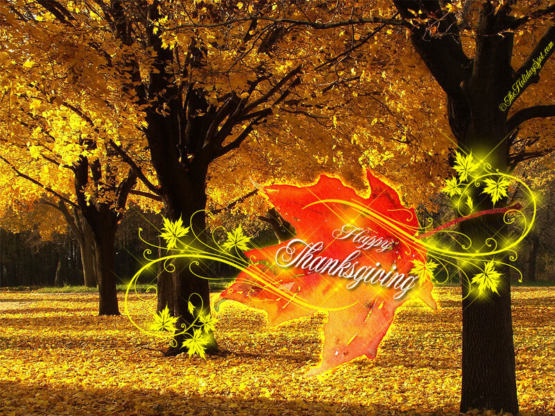 Autumn Trees with Leaves