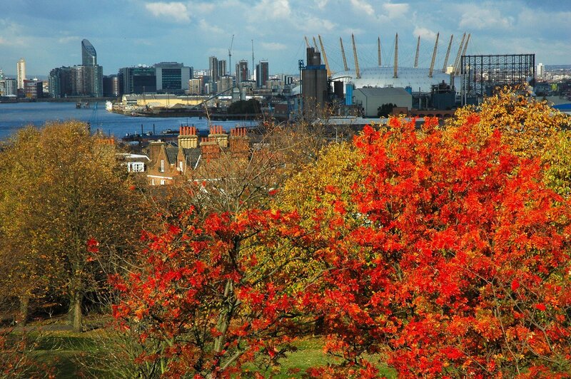 Autumn trees with London skyline